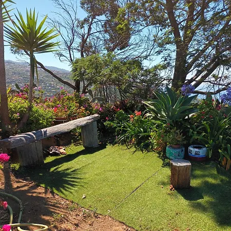 Casa D'Alegria Madeira Island Villa Ribeira Brava Exterior photo